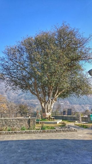 Basheshwar Mahadev Temple-3